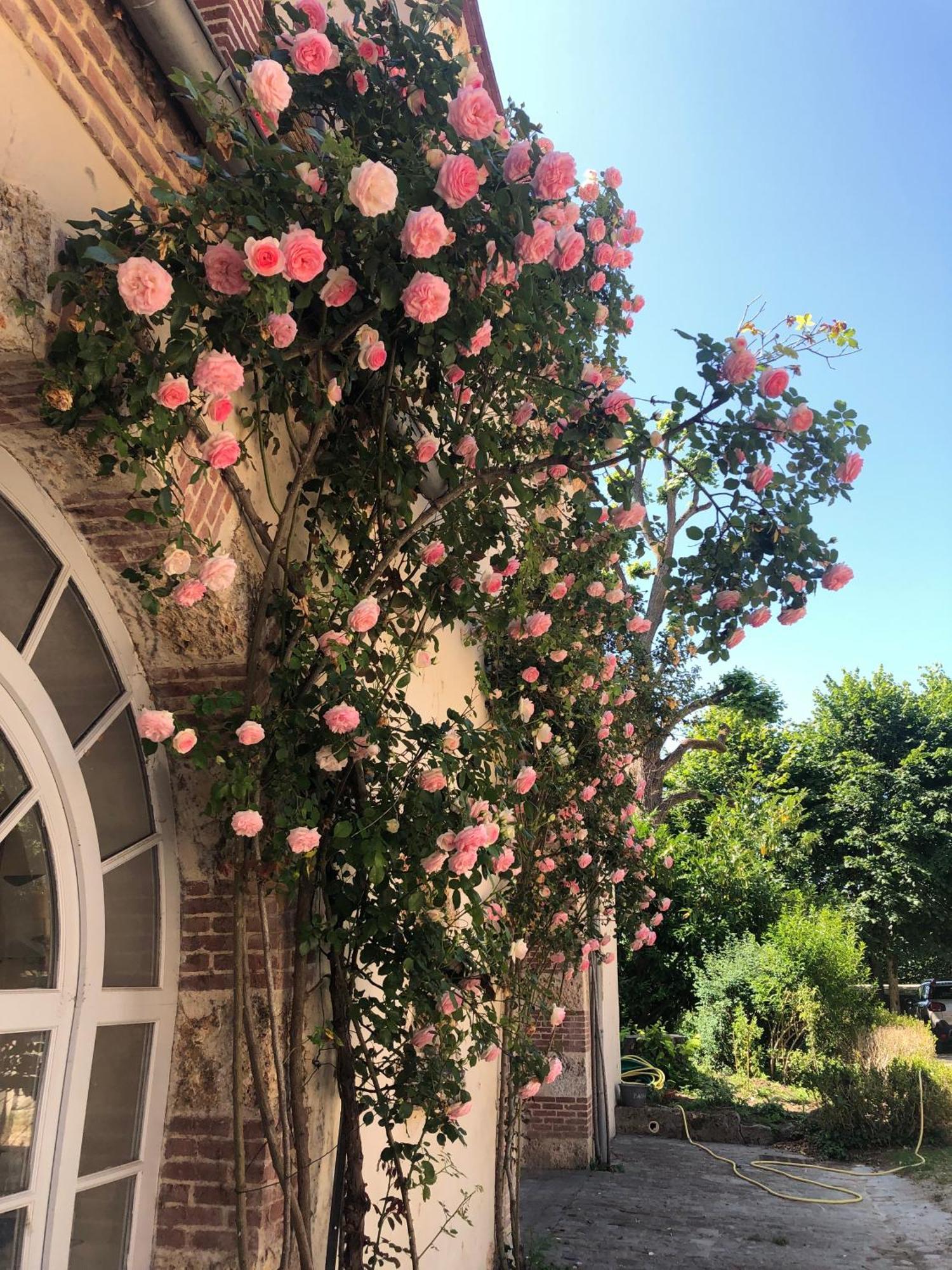 Chateau De La Cour Senlisse Luaran gambar